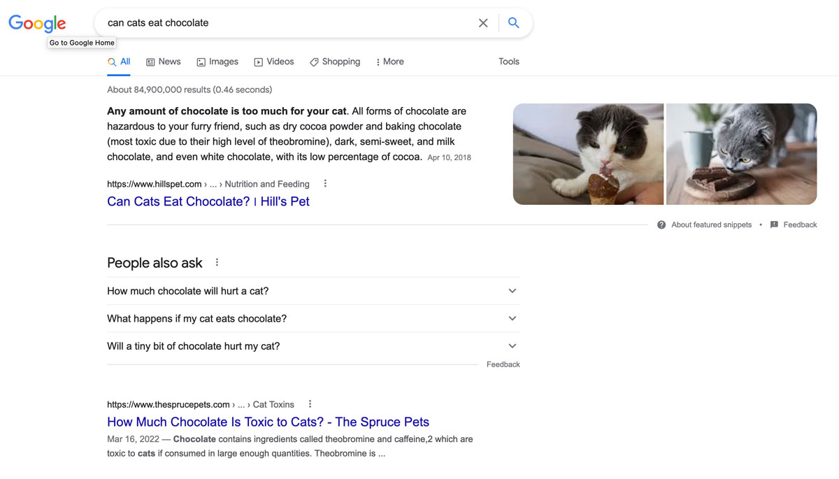 serp analysis showing organic results and featured snippet