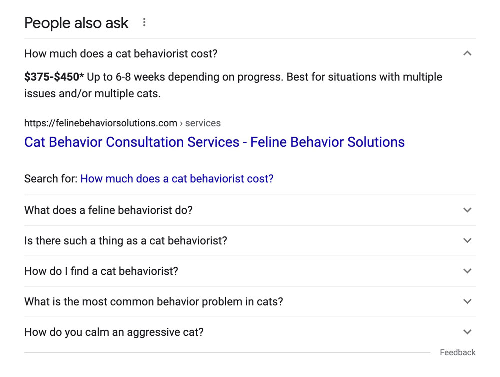 people also ask SERP example listing