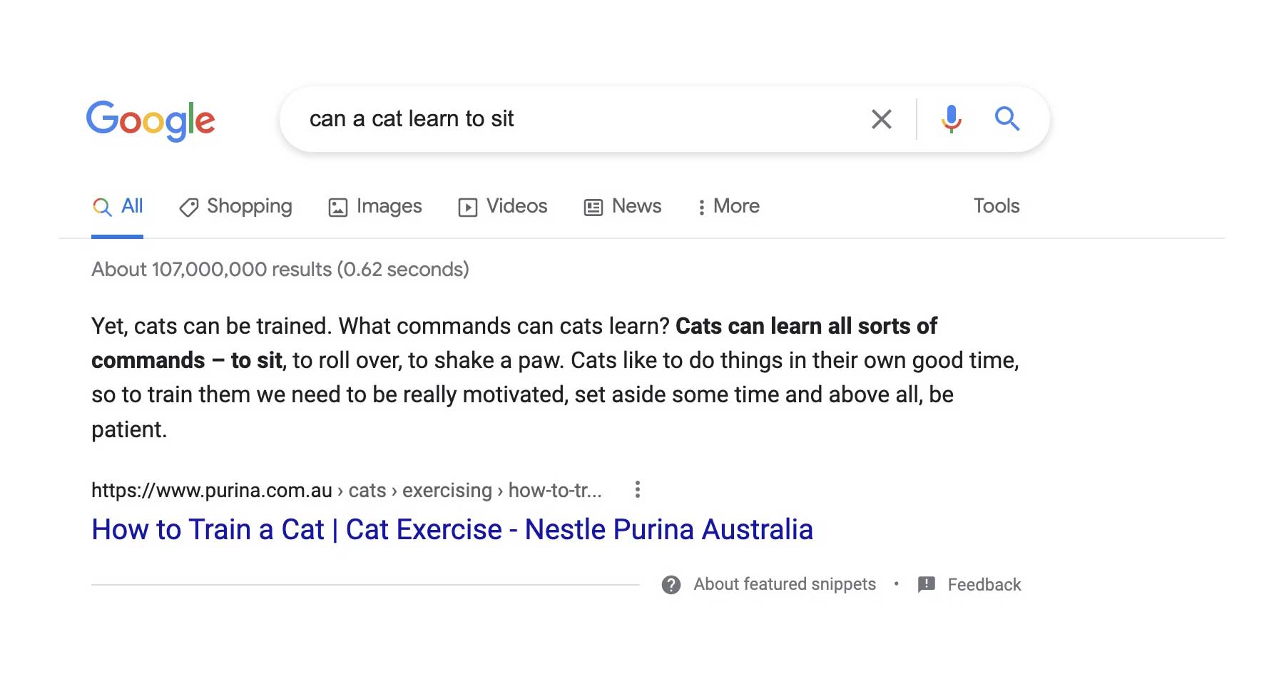 featured snippet SERP example