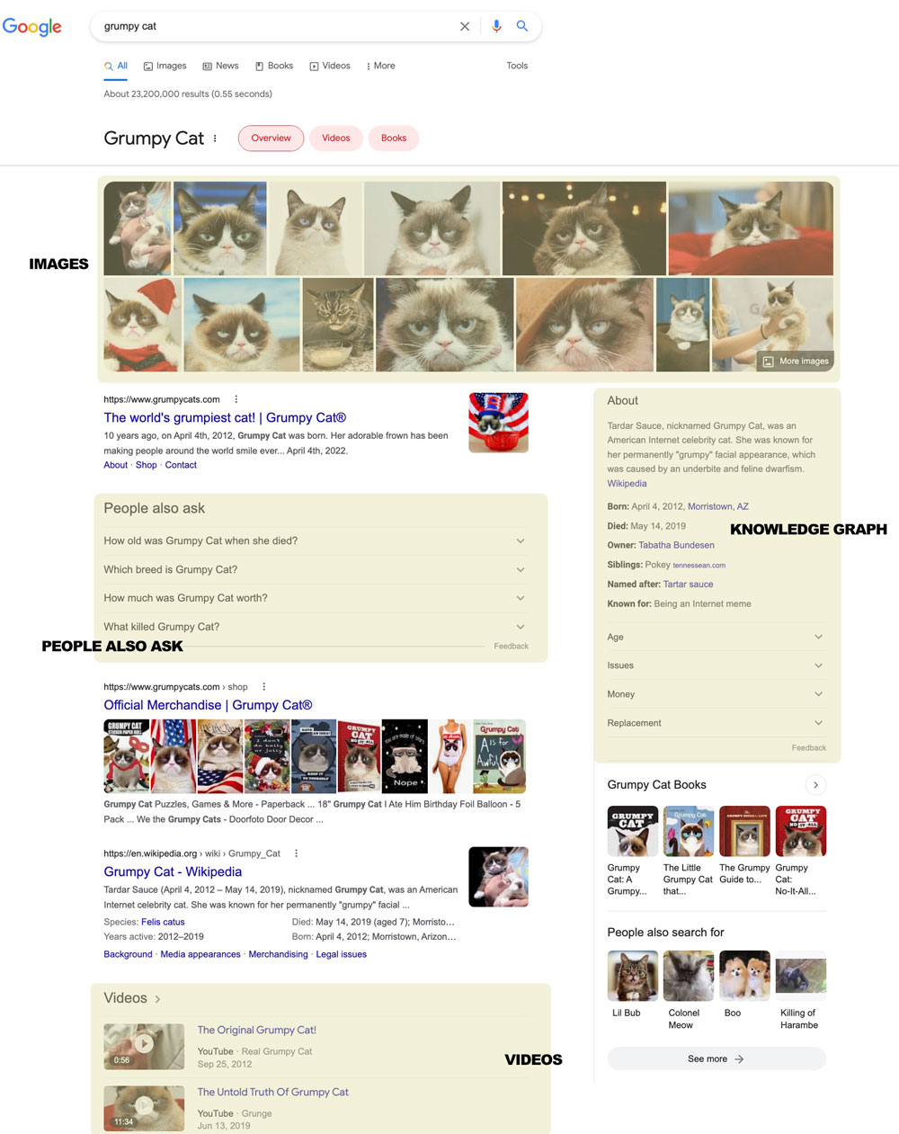 grumpy cat example of SERP results