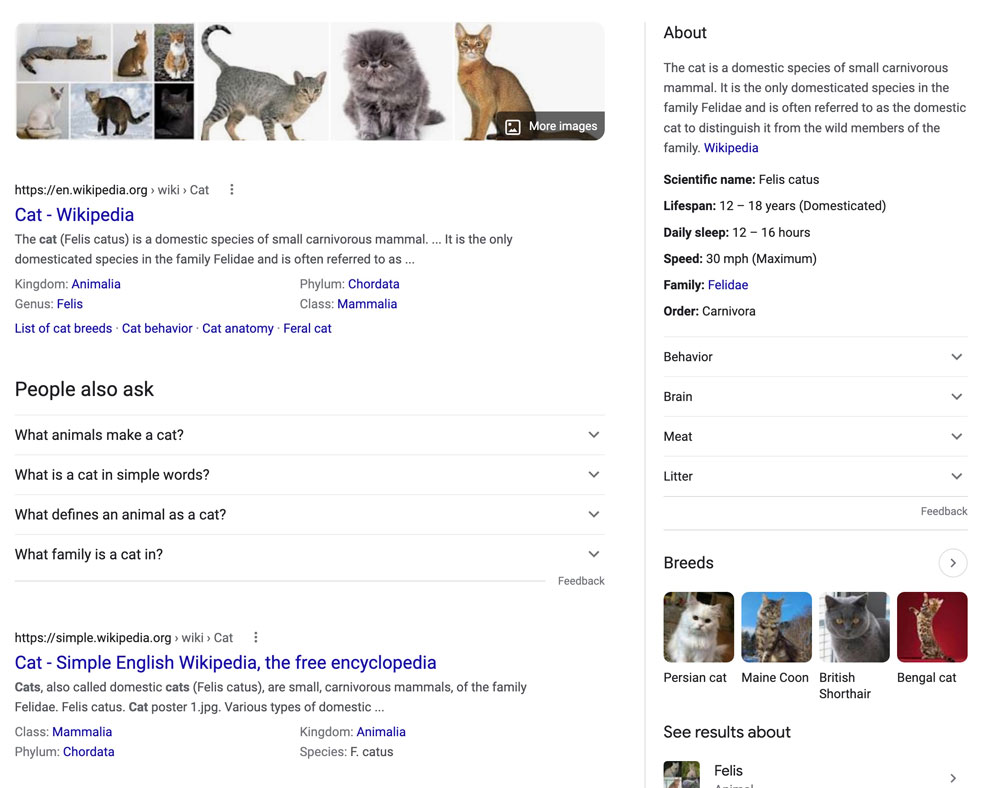 knowledge graph SERP example