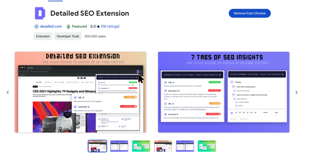 Detailed SEO Extension